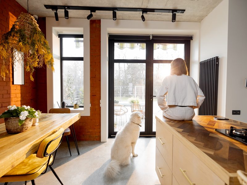 Un perro blanco sentado en una cocina luminosa mira a su dueña, sentada en la encimera junto a la ventana