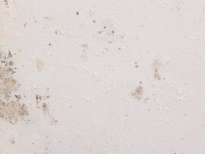 Pared blanca con manchas oscuras de humedad y moho