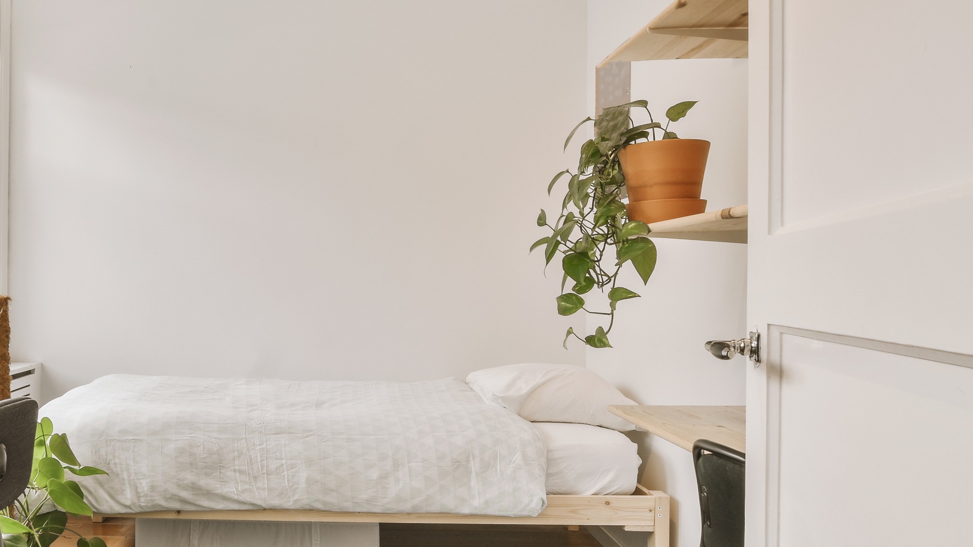 Habitación de estudiante con cama individual, escritorio y estantería con planta, en un piso para alquilar a estudiantes en Zaragoza